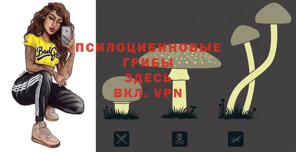 амфетамин Алексеевка