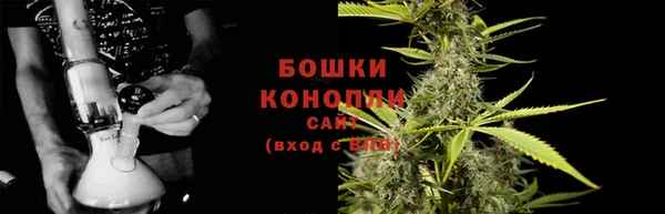 гашик Лабытнанги