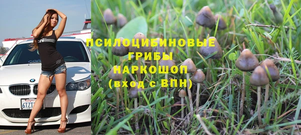 амфетамин Алексеевка