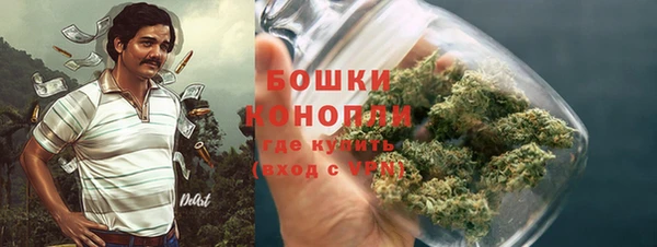 дурь Алзамай