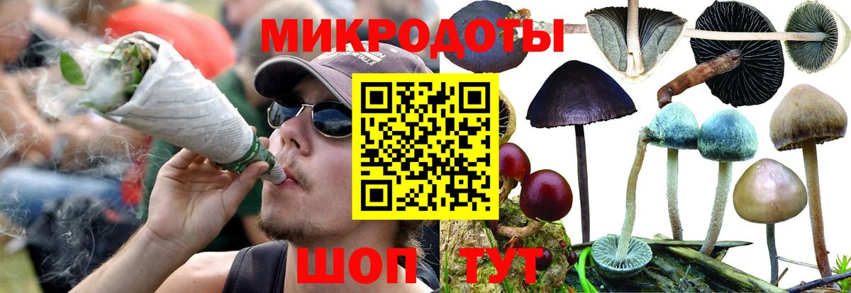 Псилоцибиновые грибы MAGIC MUSHROOMS  Псилоцибиновые грибы Cubensis  Вход с VPN  Лесной 