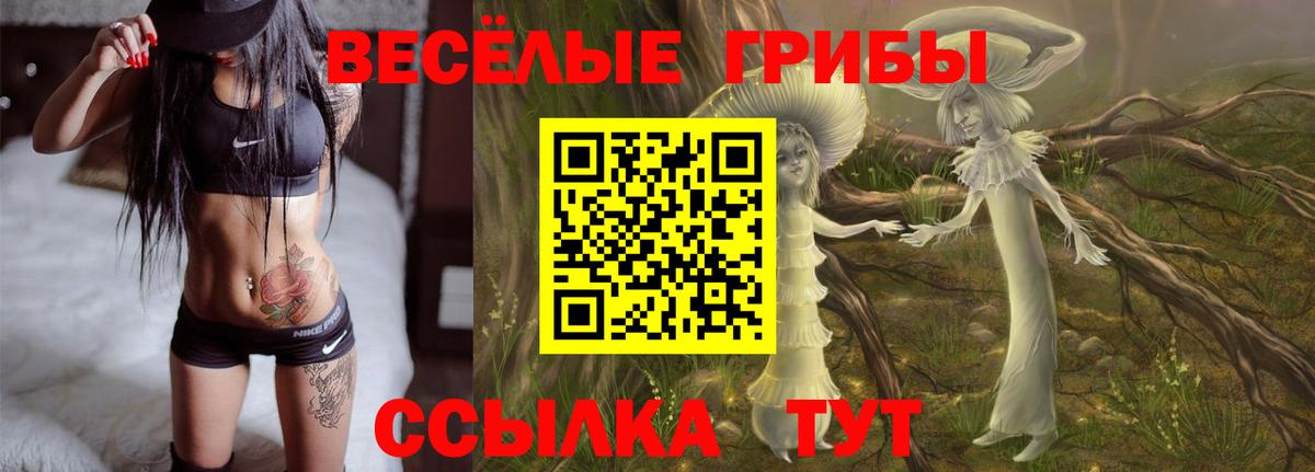 Галлюциногенные грибы Cubensis Лесной
